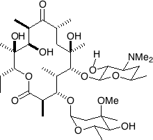 erythromycin