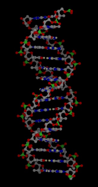 dna