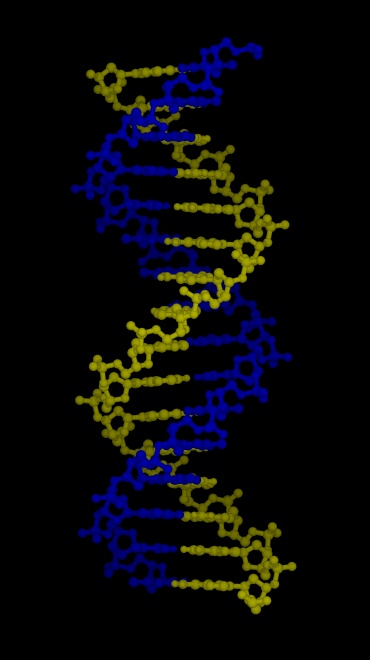 dna