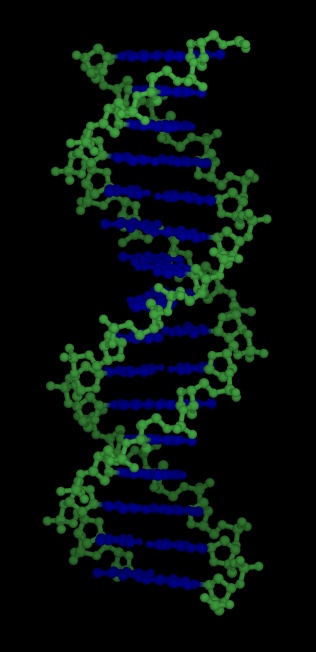 dna